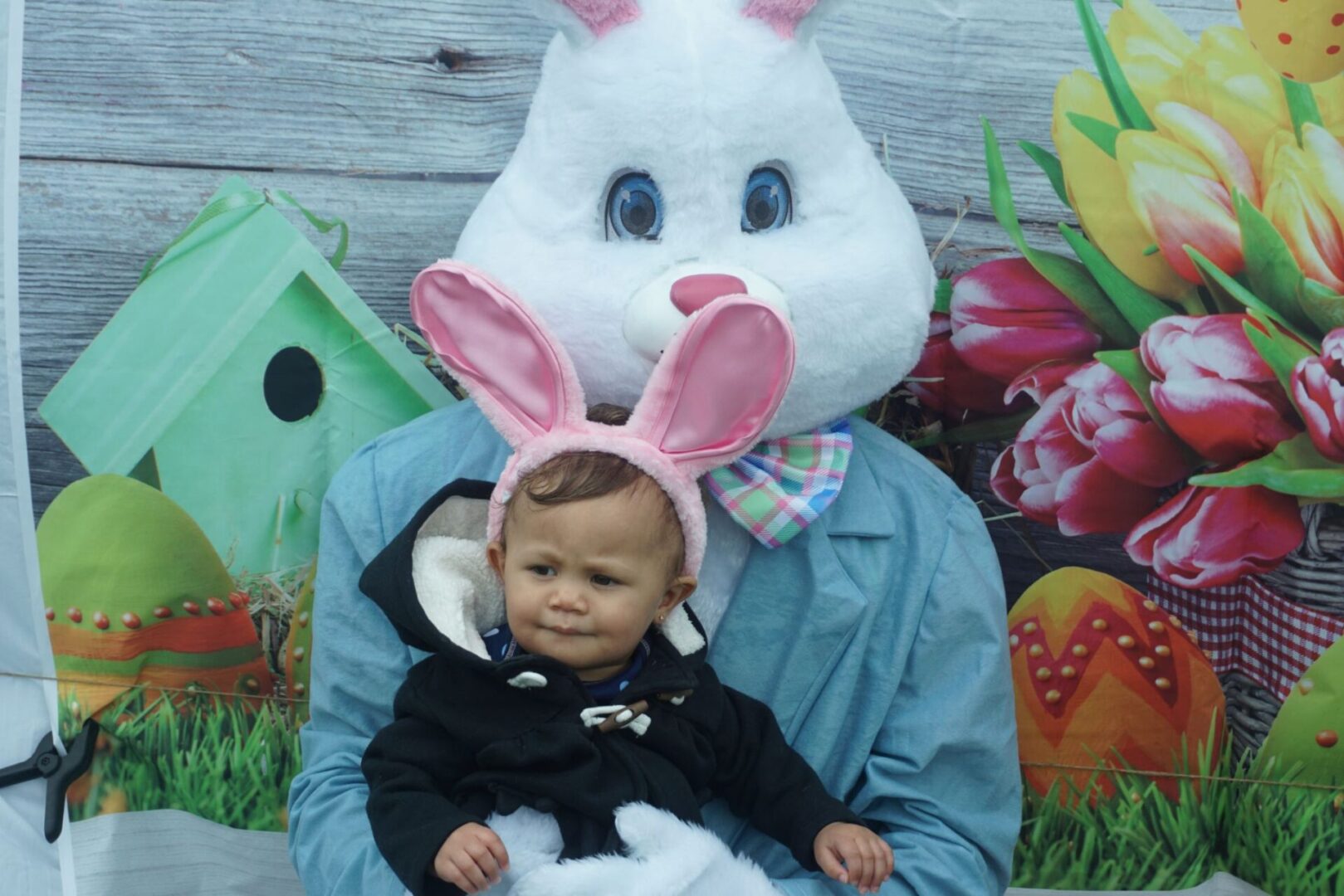 The bunny mascot carrying a baby with bunny ears