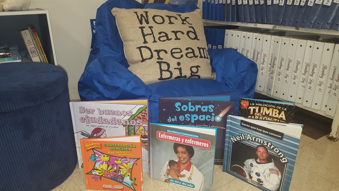 A beanie with a pillow and some of the books we donated