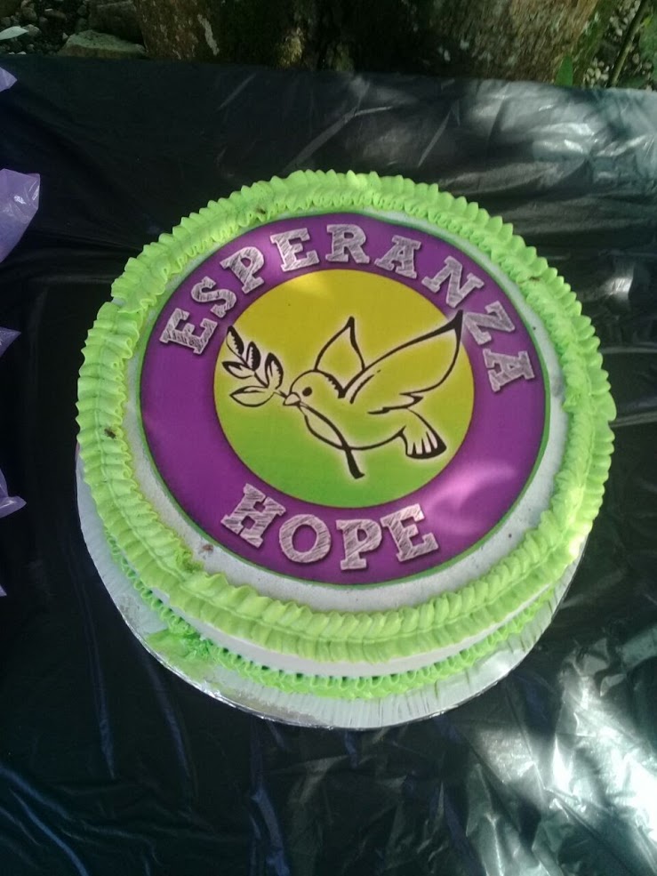 Esperanza-Hope cake with green icing